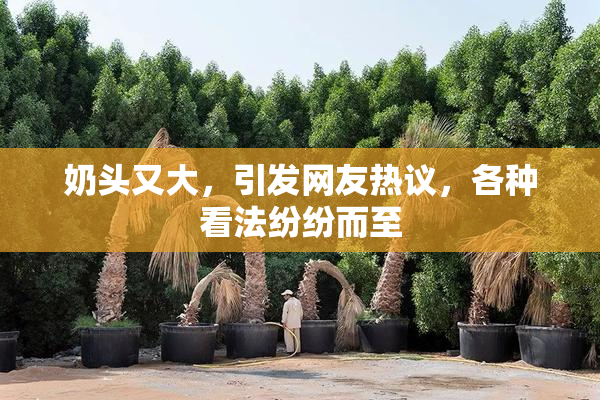 奶头又大，引发网友热议，各种看法纷纷而至