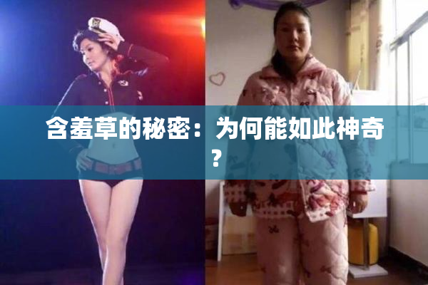 含羞草的秘密：为何能如此神奇？