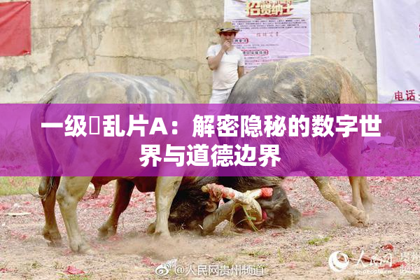 一级婬乱片A：解密隐秘的数字世界与道德边界