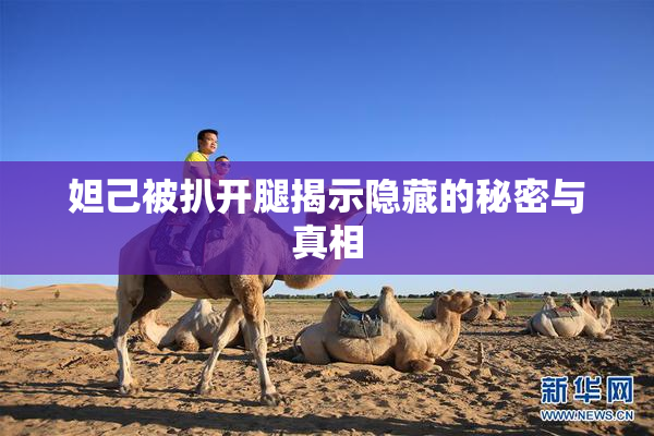 妲己被扒开腿揭示隐藏的秘密与真相