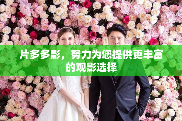 片多多影，努力为您提供更丰富的观影选择