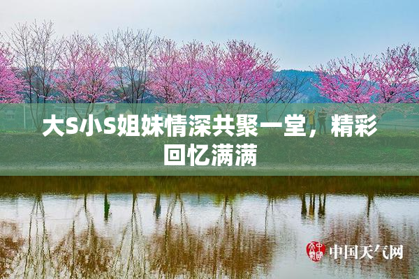 大S小S姐妹情深共聚一堂，精彩回忆满满