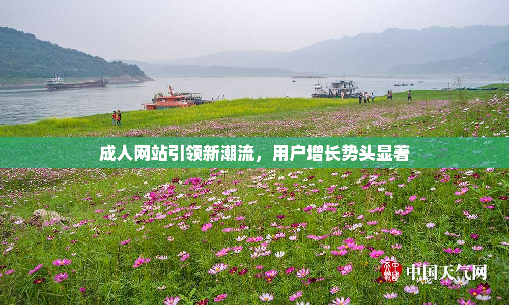 成人网站引领新潮流，用户增长势头显著