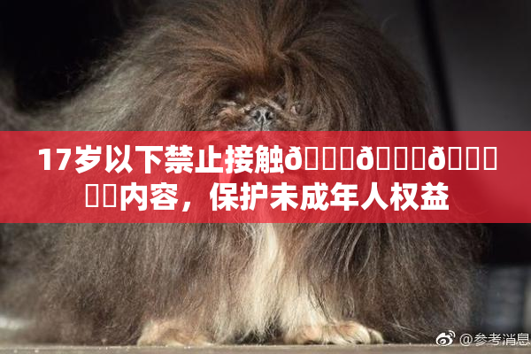 17岁以下禁止接触🍆🍑🔞❌‌内容，保护未成年人权益
