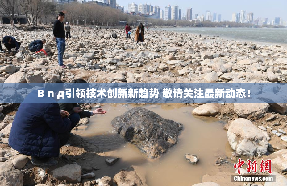 B n д引领技术创新新趋势 敬请关注最新动态！