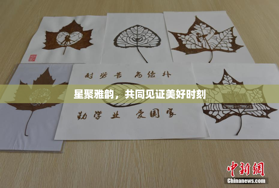 星聚雅韵，共同见证美好时刻