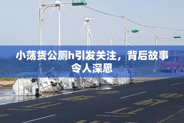 小荡货公厕h引发关注，背后故事令人深思