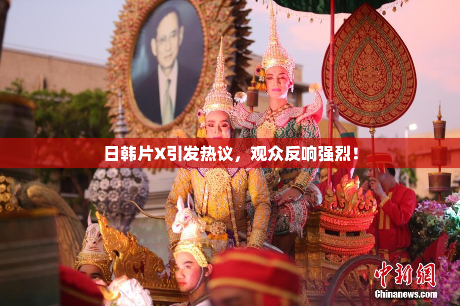 日韩片X引发热议，观众反响强烈！