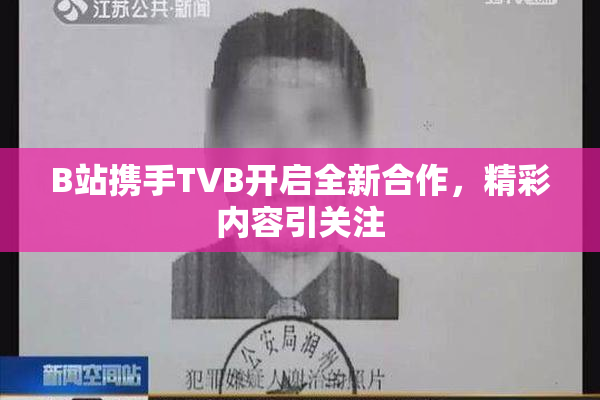 B站携手TVB开启全新合作，精彩内容引关注