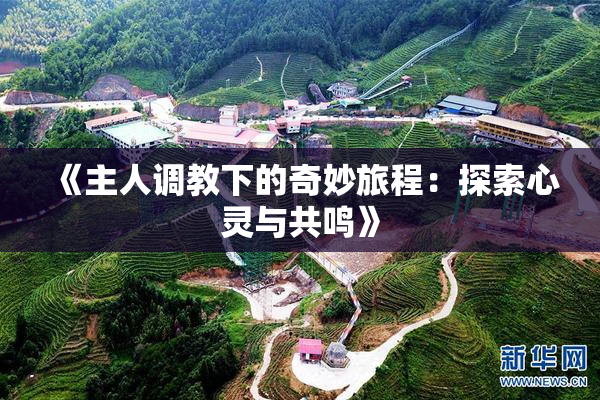 《主人调教下的奇妙旅程：探索心灵与共鸣》