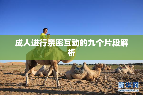成人进行亲密互动的九个片段解析