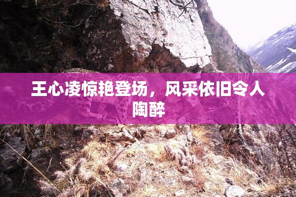 王心凌惊艳登场，风采依旧令人陶醉