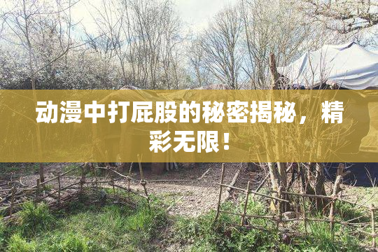 动漫中打屁股的秘密揭秘，精彩无限！