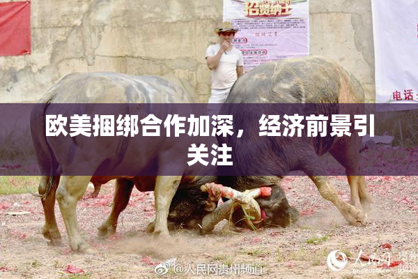 欧美捆绑合作加深，经济前景引关注