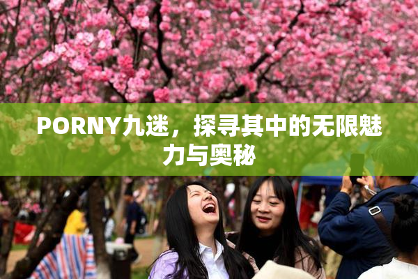PORNY九迷，探寻其中的无限魅力与奥秘