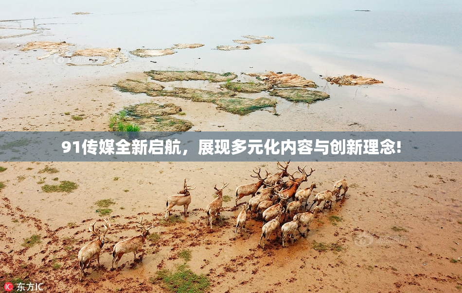 91传媒全新启航，展现多元化内容与创新理念!