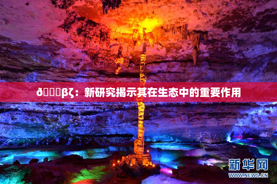 👙βζ：新研究揭示其在生态中的重要作用