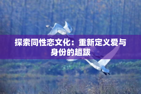 探索同性恋文化：重新定义爱与身份的趟跋