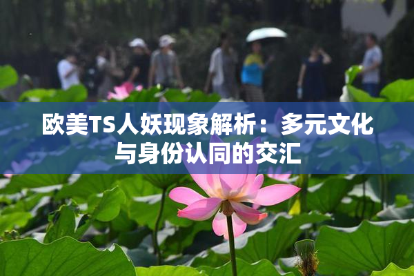 欧美TS人妖现象解析：多元文化与身份认同的交汇