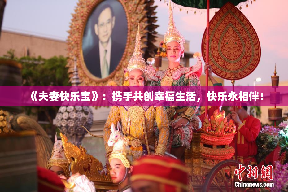 《夫妻快乐宝》：携手共创幸福生活，快乐永相伴！