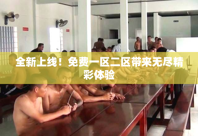 全新上线！免费一区二区带来无尽精彩体验