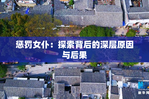 惩罚女仆：探索背后的深层原因与后果