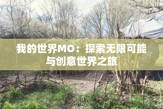 我的世界MO：探索无限可能与创意世界之旅