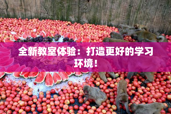 全新教室体验：打造更好的学习环境！