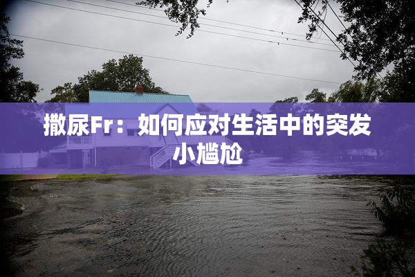 撒尿Fr：如何应对生活中的突发小尴尬