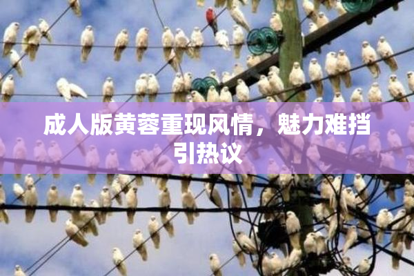 成人版黄蓉重现风情，魅力难挡引热议