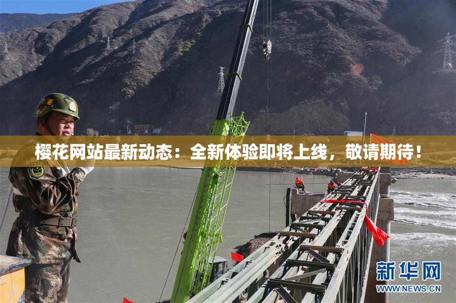 樱花网站最新动态：全新体验即将上线，敬请期待！