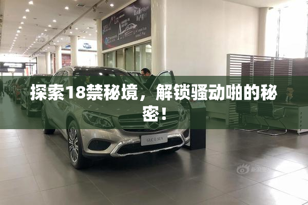 探索18禁秘境，解锁骚动啪的秘密！