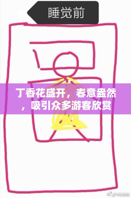 丁香花盛开，春意盎然，吸引众多游客欣赏