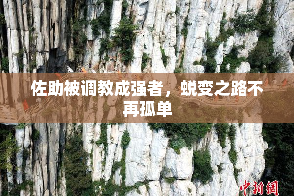 佐助被调教成强者，蜕变之路不再孤单