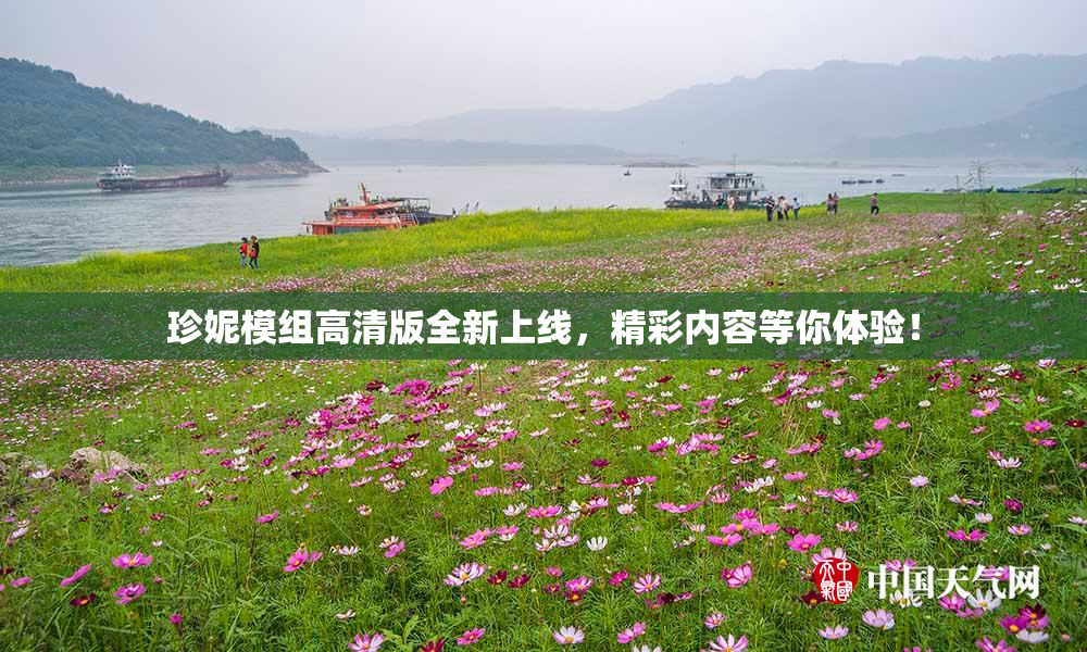 珍妮模组高清版全新上线，精彩内容等你体验！