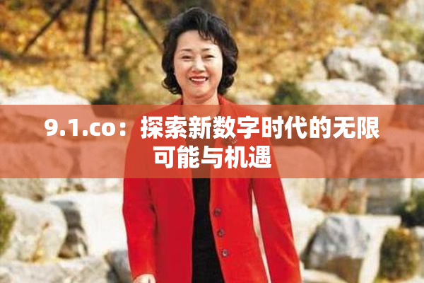 9.1.co：探索新数字时代的无限可能与机遇