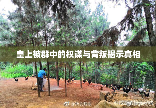 皇上被群中的权谋与背叛揭示真相