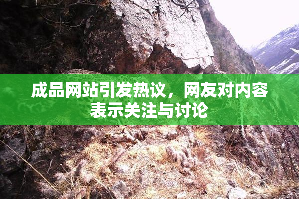 成品网站引发热议，网友对内容表示关注与讨论