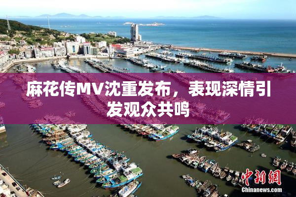 麻花传MV沈重发布，表现深情引发观众共鸣