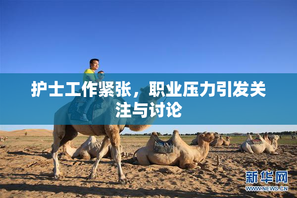 护士工作紧张，职业压力引发关注与讨论