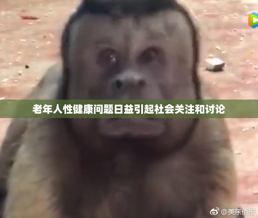 老年人性健康问题日益引起社会关注和讨论