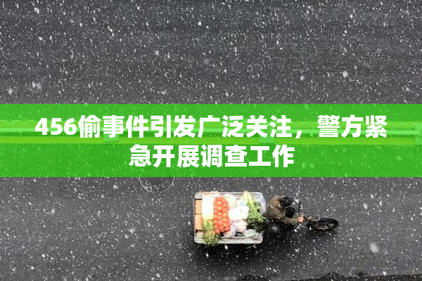 456偷事件引发广泛关注，警方紧急开展调查工作