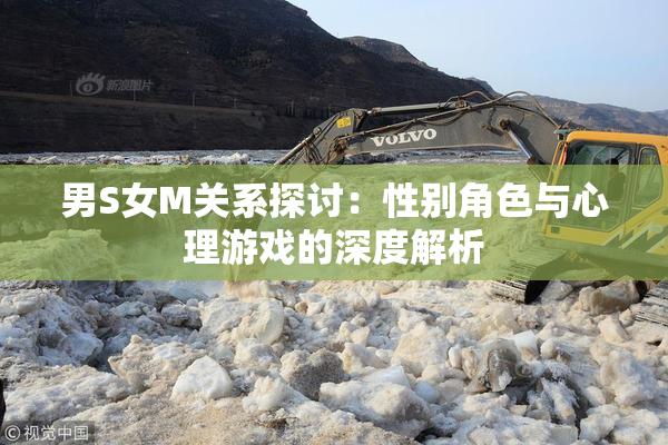 男S女M关系探讨：性别角色与心理游戏的深度解析