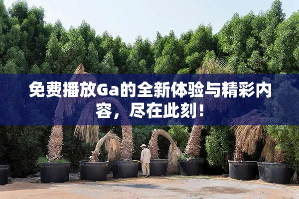 免费播放Ga的全新体验与精彩内容，尽在此刻！