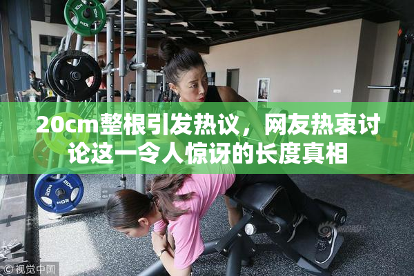 20cm整根引发热议，网友热衷讨论这一令人惊讶的长度真相