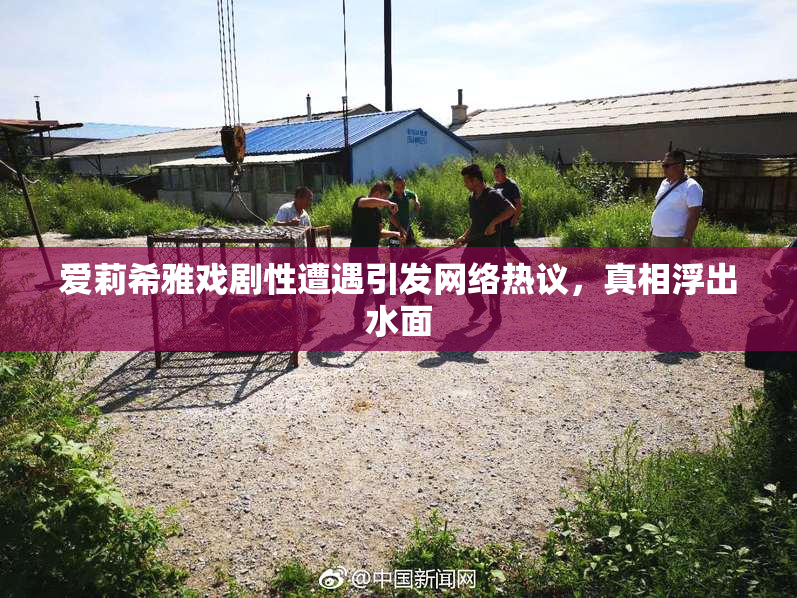 爱莉希雅戏剧性遭遇引发网络热议，真相浮出水面