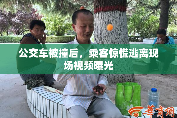 公交车被撞后，乘客惊慌逃离现场视频曝光