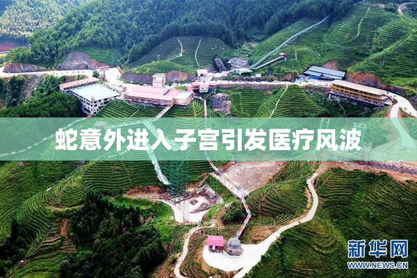 蛇意外进入子宫引发医疗风波