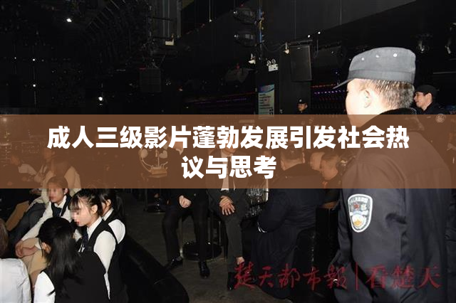 成人三级影片蓬勃发展引发社会热议与思考