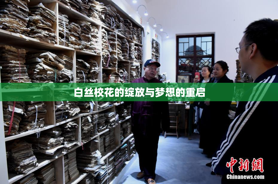白丝校花的绽放与梦想的重启